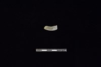 陶環藏品圖，第1張